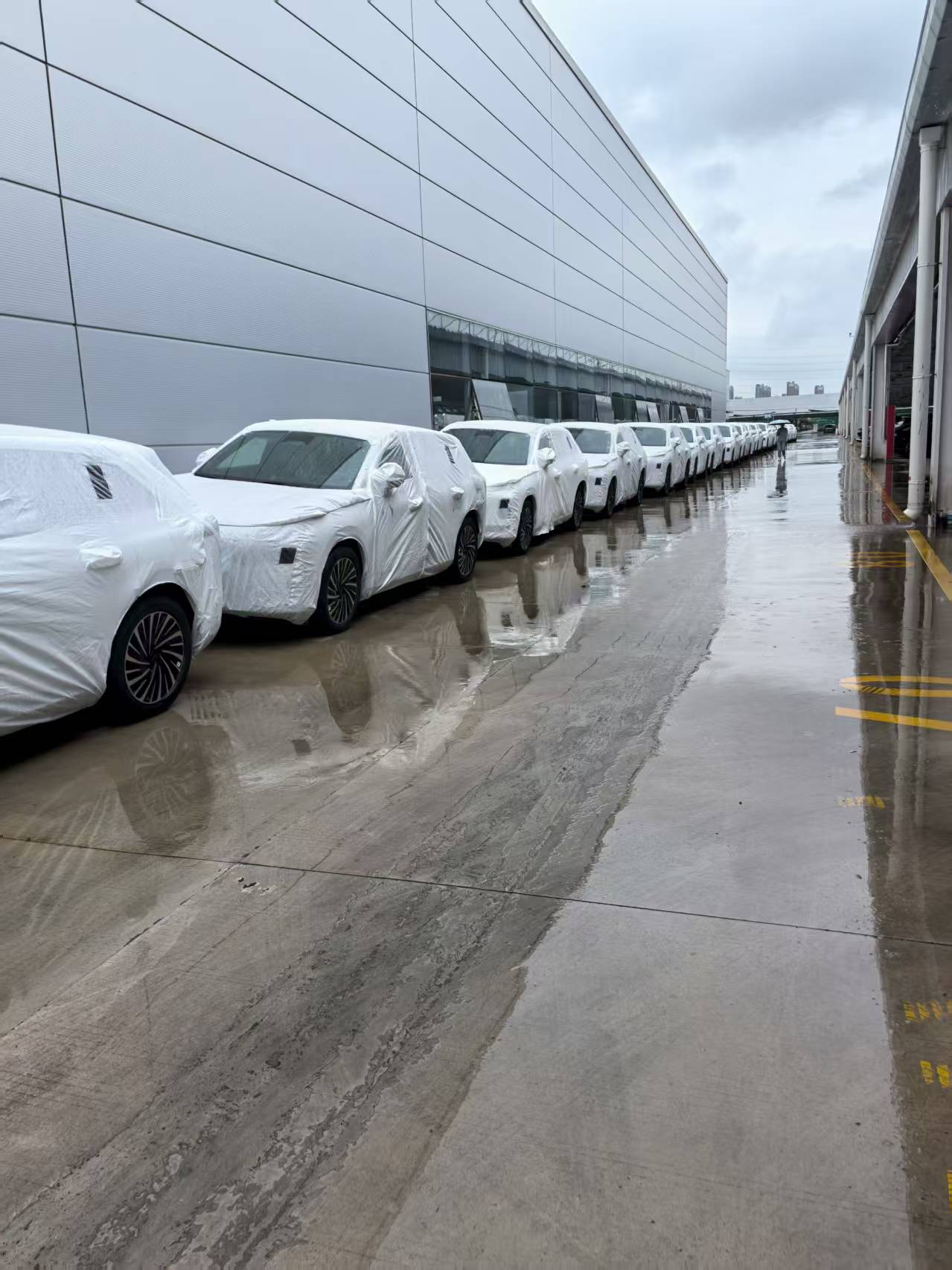 微信图片_20251027230947_341_46